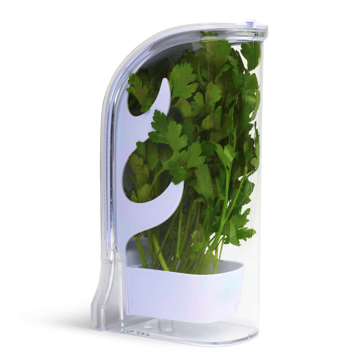 Herb Keeper Container - Herb Crisper Saver Container Refrigerator Side