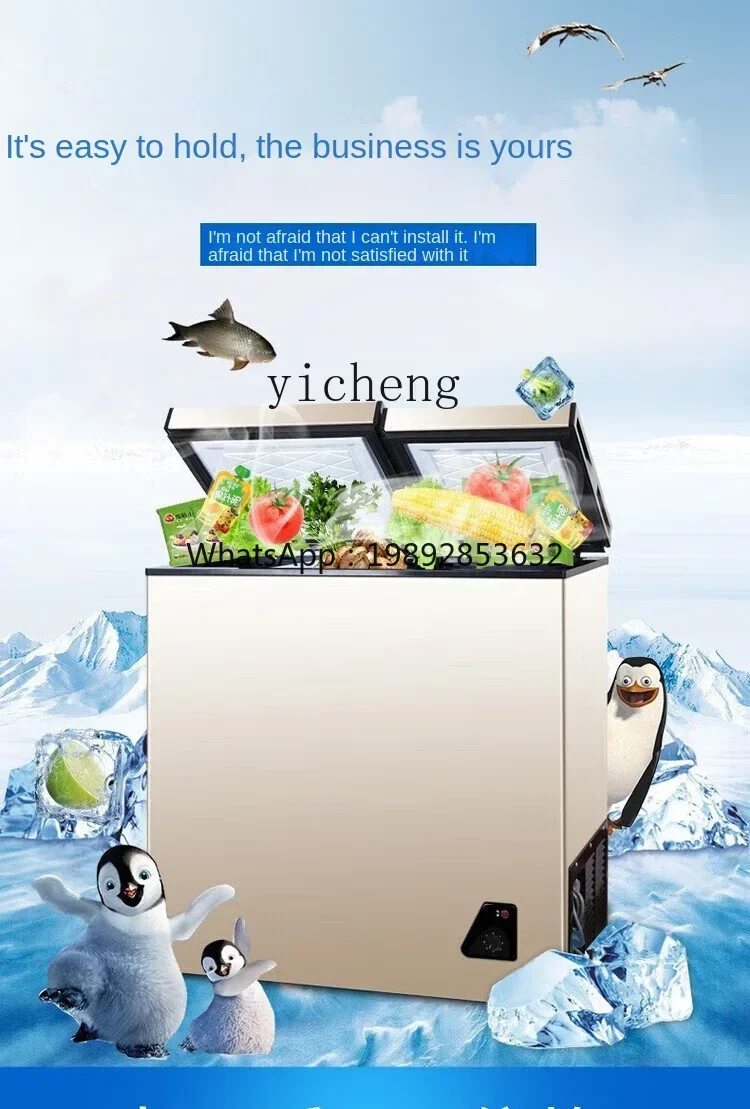 Food Storage And Temperature - Household Full Frozen Small Mini Power