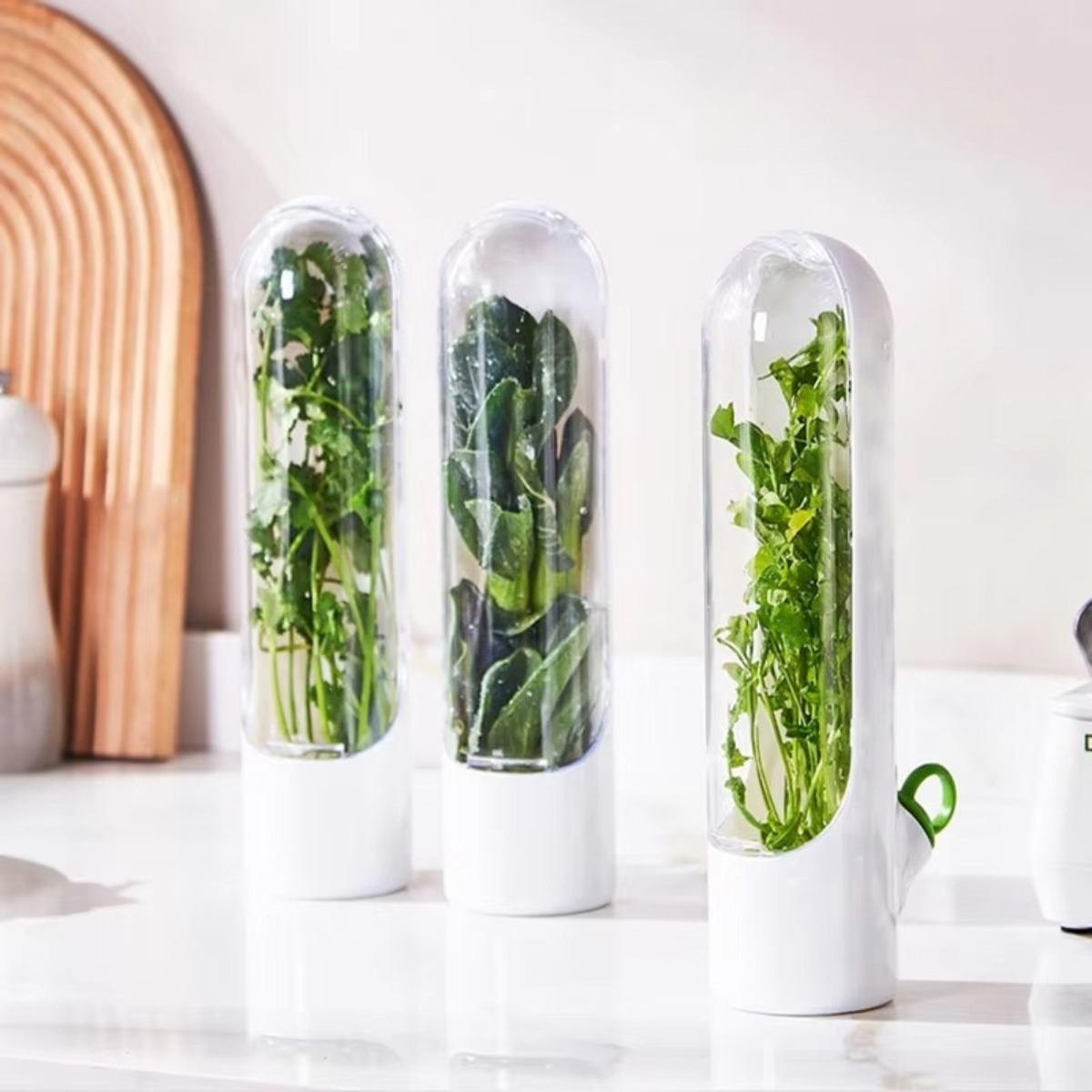 Herb Keeper Container - 1/2PCS Herb Saver Storage Container Fresh
