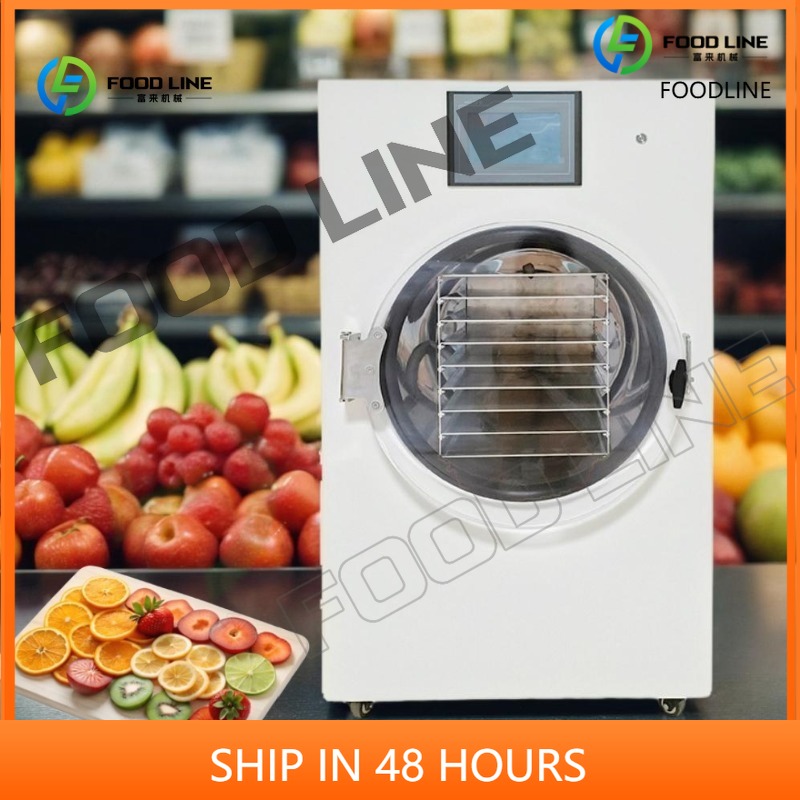 Food Storage Long Term - Customized Stainless Steel Freeze Dryer Machine