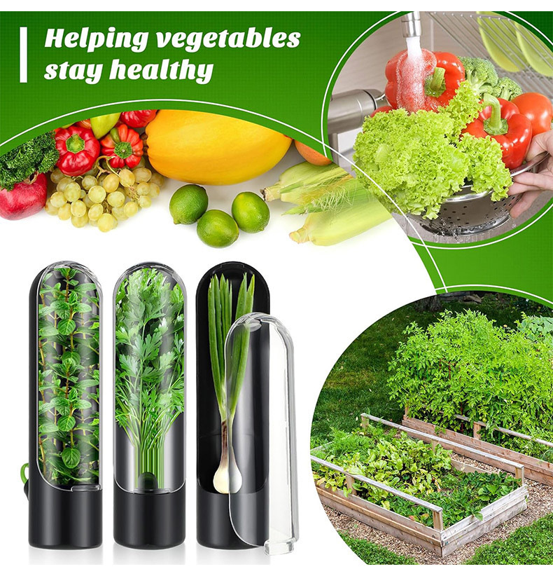 Herb Keeper Container - Vegetables Fresh Preservation Bottle Herb Saver