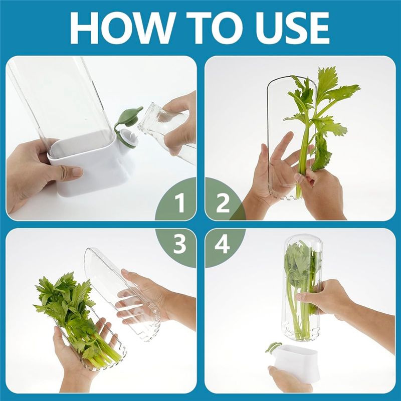 A23E-Fresh Herb Keeper For Ref - đánh giá và giá Herb Keeper Container