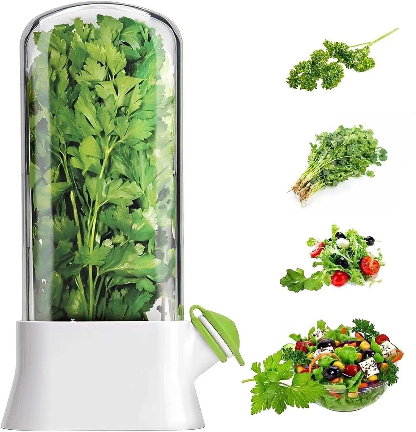 Herb Keeper for Refrigerator K - đánh giá và giá Herb Keeper Container