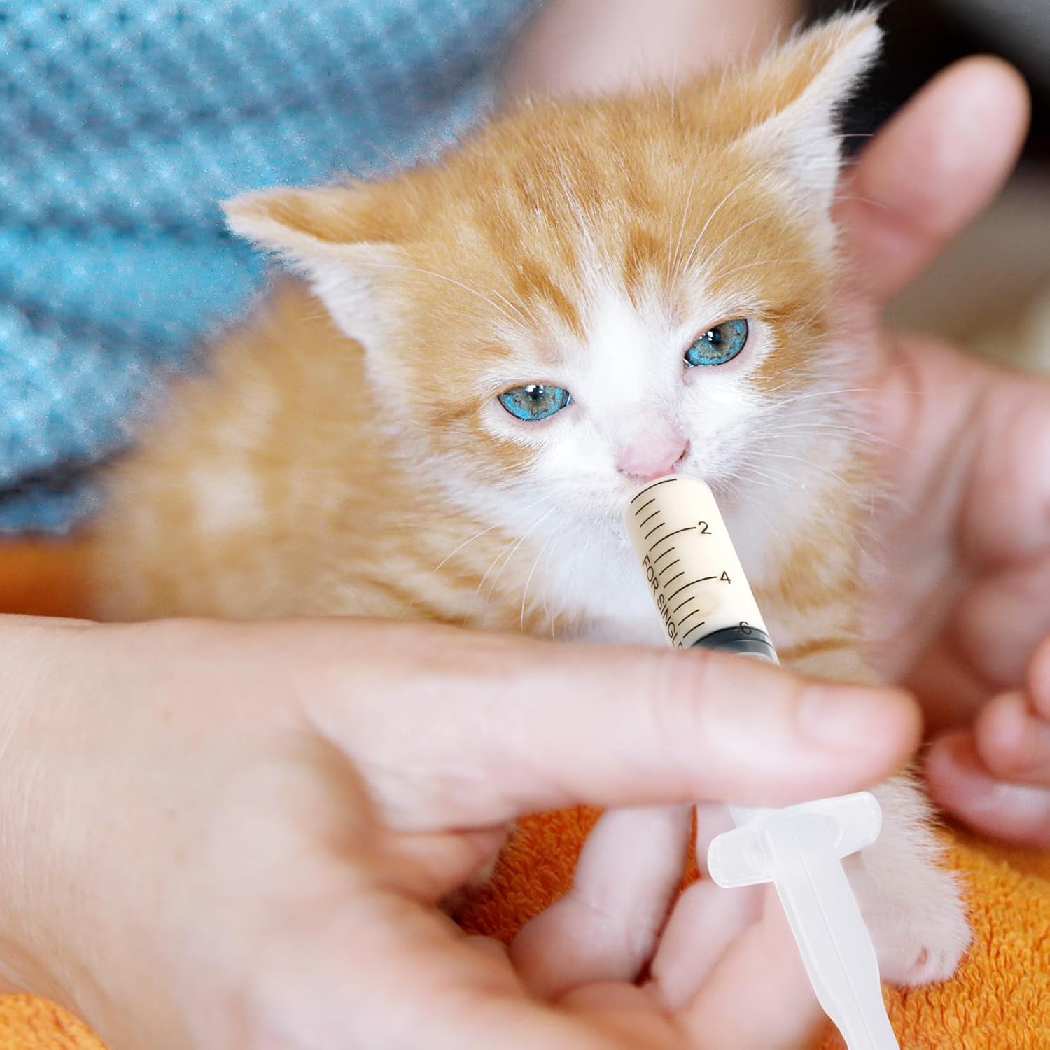 100 Pack 50/30/20ml Syringes P - đánh giá và giá Storage Tips For Food