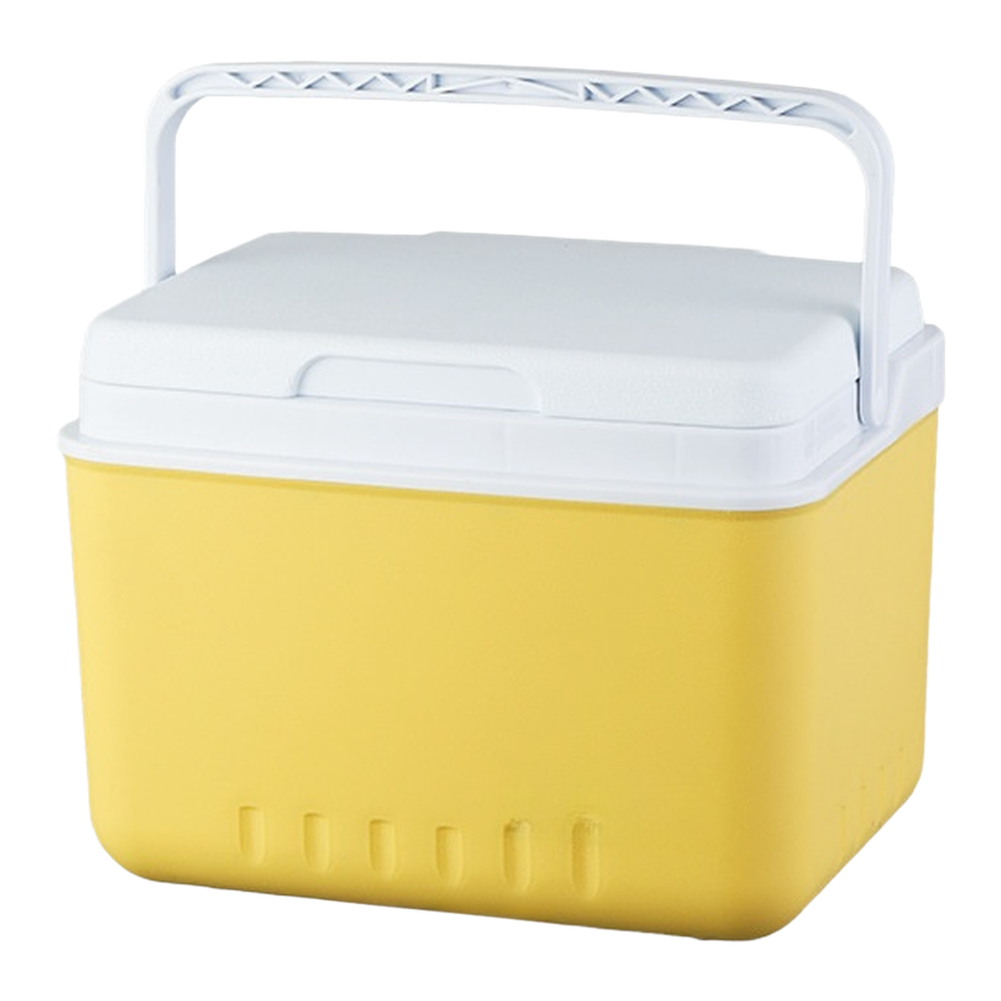Portable 6L 15L Insulated Cool - đánh giá và giá Food Storage For Camping