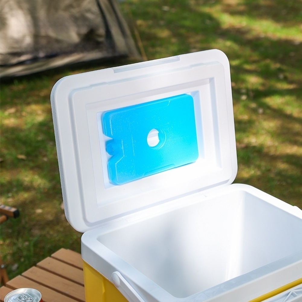 Portable 6L 15L Insulated Cool - đánh giá và giá Food Storage For Camping