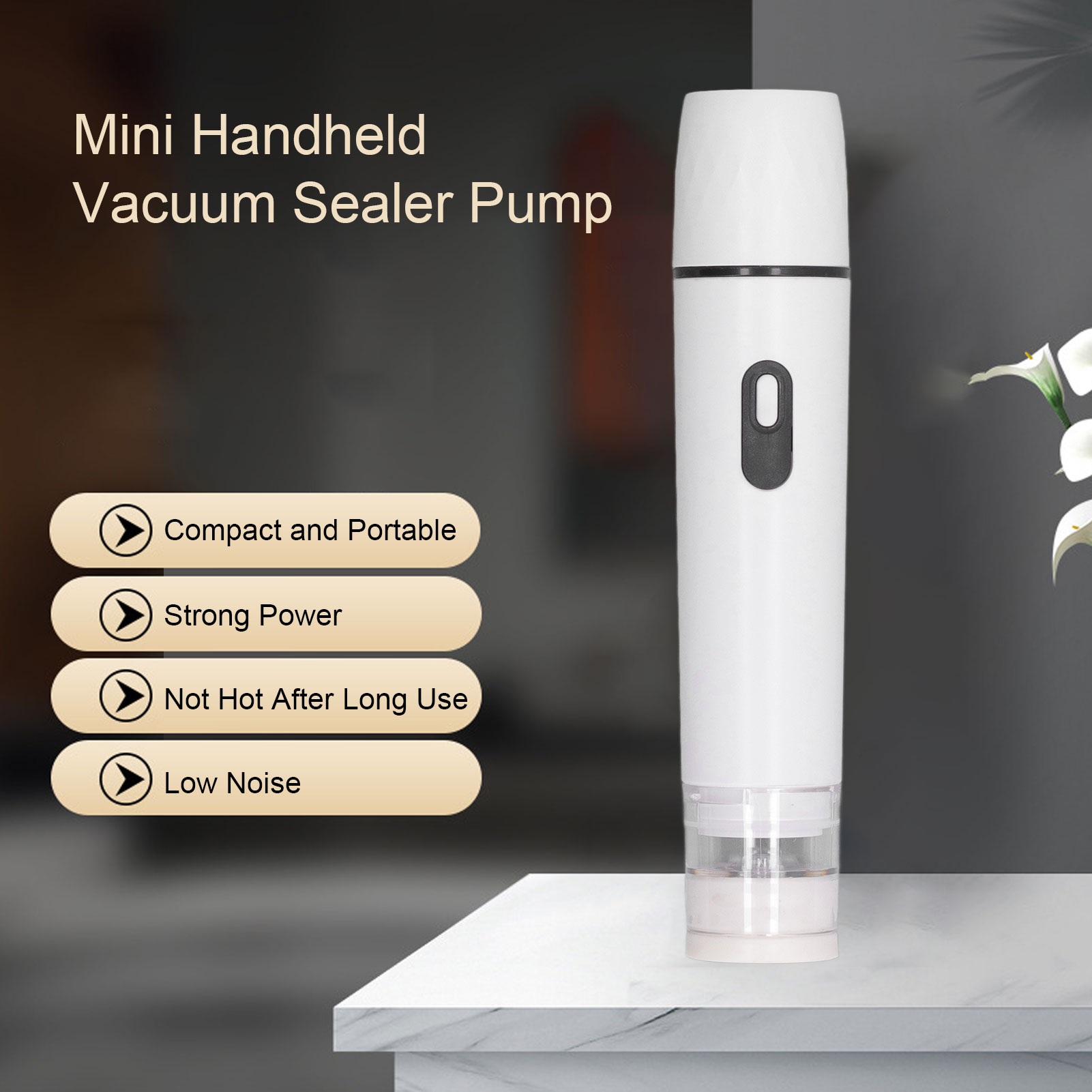 Electric Air Pump Handheld Vac - đánh giá và giá Food Storage Vacuum Seal