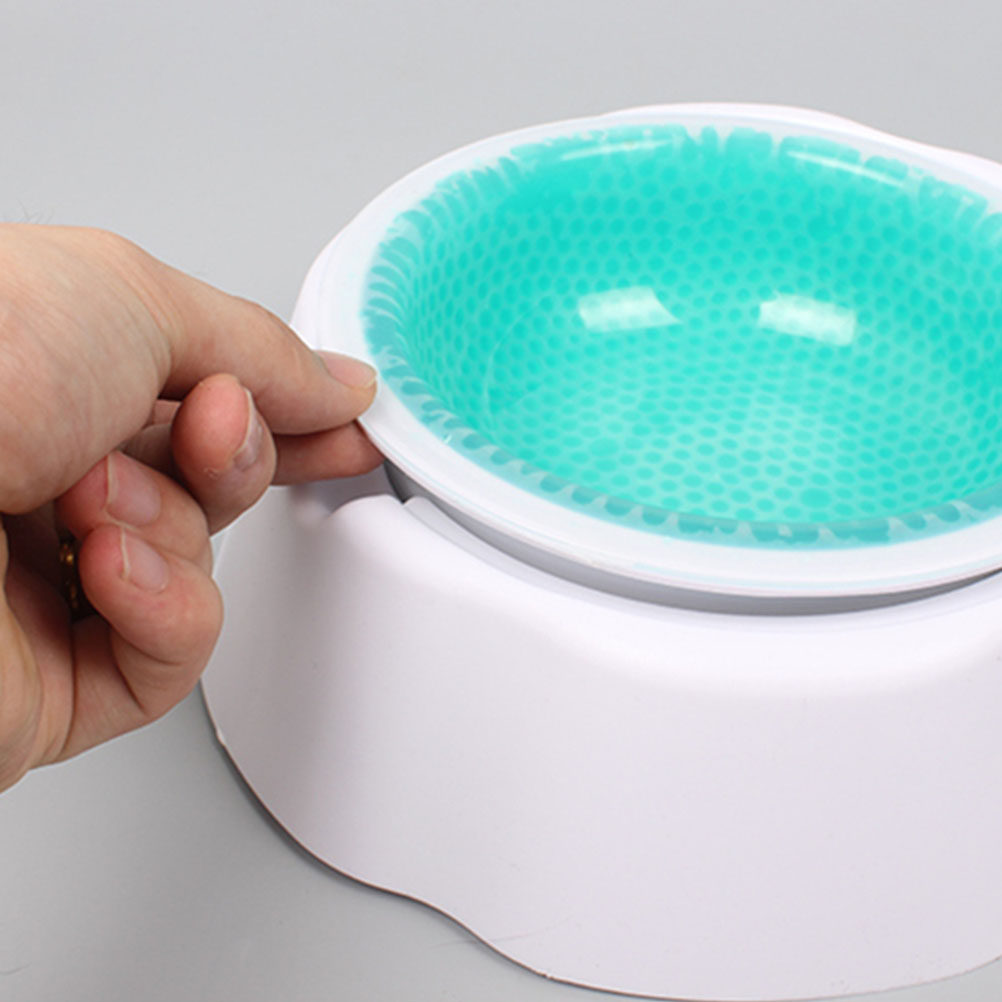 1Pcs Pet Cooler Bowl Premium P - đánh giá và giá Storage Tips For Food