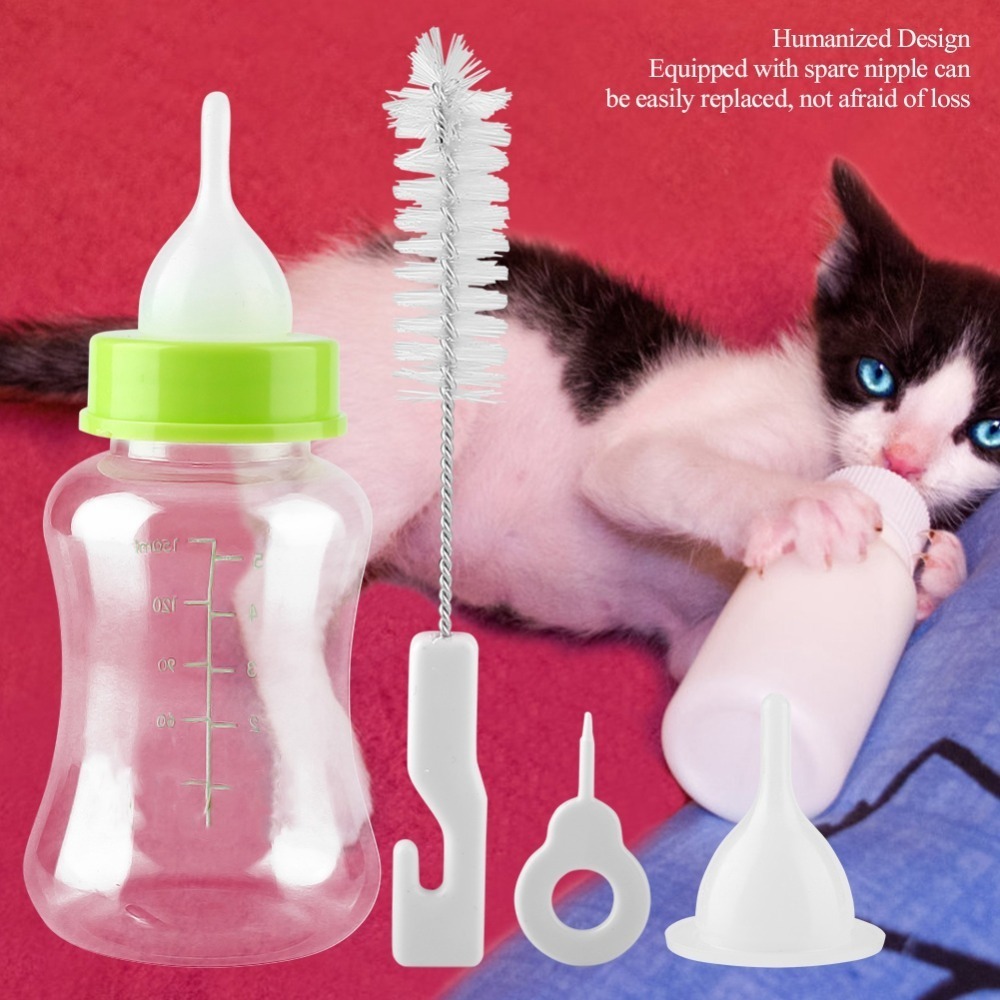 4pcs/ Set 150ml Capacity Pet F - đánh giá và giá Storage Tips For Food