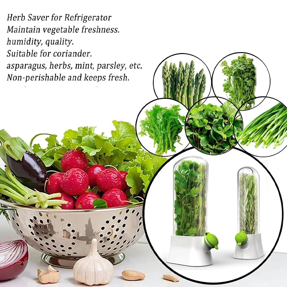 Herb Saver Storage Container V - đánh giá và giá Herb Keeper Container