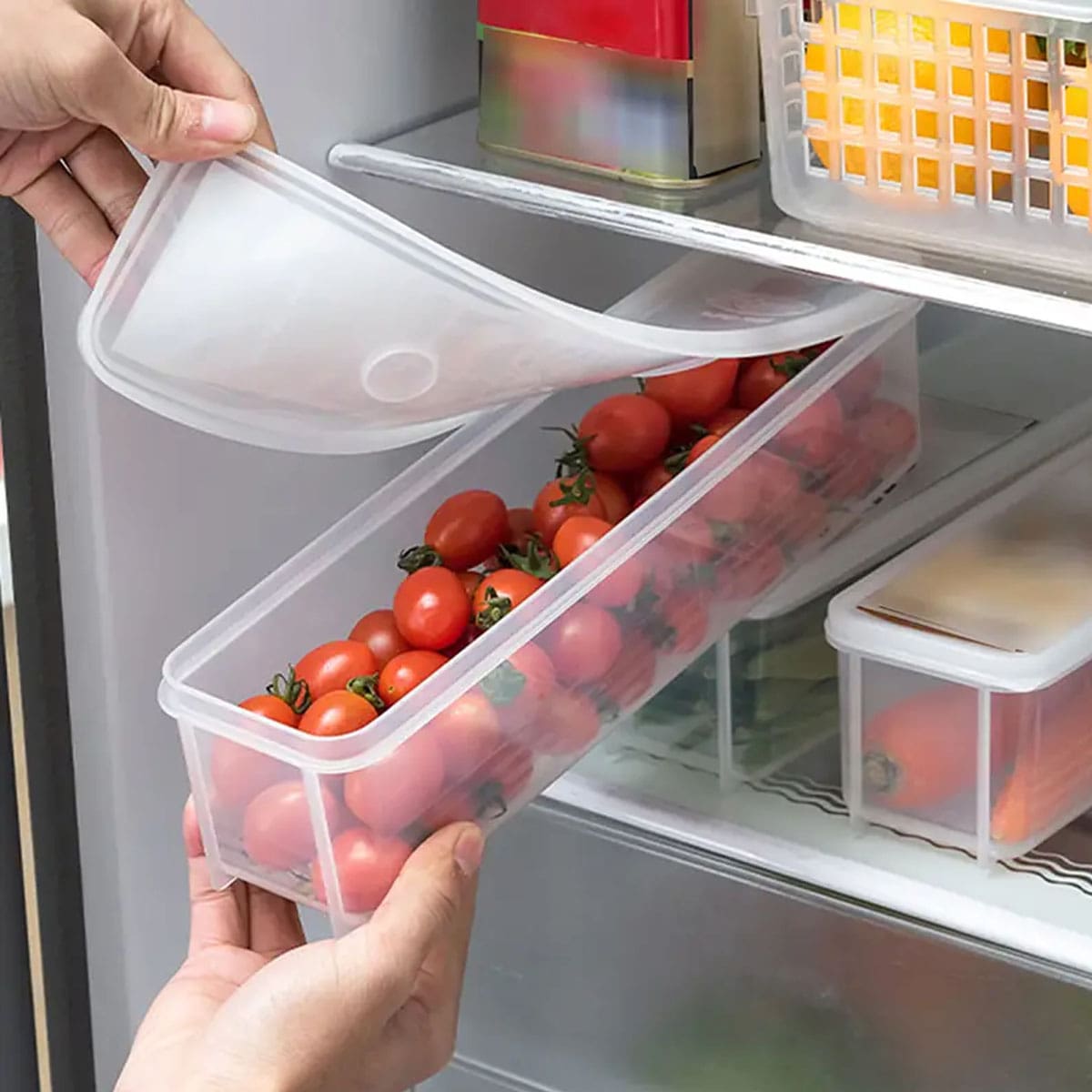 1 Plastic Transparent Storage  - đánh giá và giá Food Storage For Refrigerator
